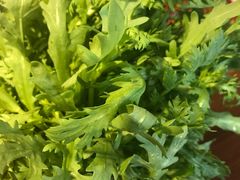 -惠友大虾(太原北街店)