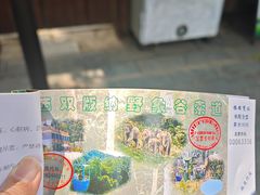 -野象谷景区