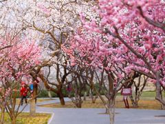 -北京明城墙遗址公园