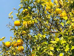 -苏州吴中太湖旅游区