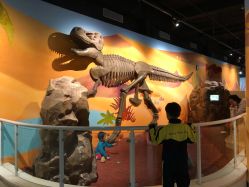 -北京科学中心儿童乐园