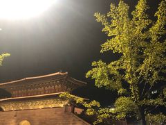 -东大门市场