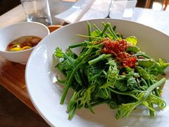 清蘸佛手瓜苗-SUSU·苏苏(四合院创始店)