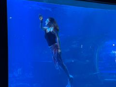 -太平洋海底世界