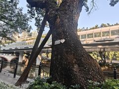 -广东胜利宾馆西关粤中餐厅