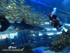 -成都浩海立方海洋公园