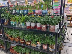 -大润发(梅兰东路店)