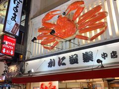 -蟹道乐(道顿堀本店)