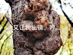 -颐和园