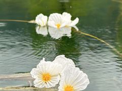 -丽江泸沽湖景区