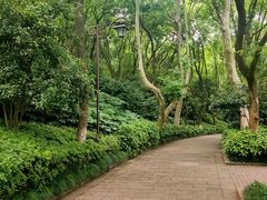 -杭州半山国家森林公园