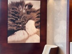 -香港尖沙咀凯悦酒店