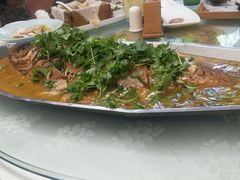 -食家鸽园
