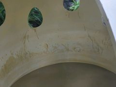 -100蛋泥浆浴