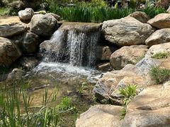 -大连植物园