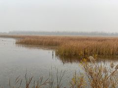 -野鸭湖国家湿地公园