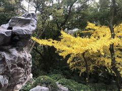 -汇龙潭