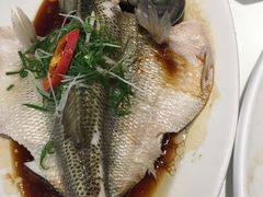 -至潮餐厅精致粤菜·活鲈鱼·走地鸡(珠江新城店)