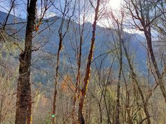 -叠溪松坪沟景区