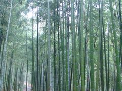 -众神白水涧景区