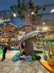 -卡通尼·Safari非洲探索乐园·生日会(金桥国际商业广场店)