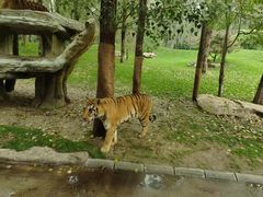 -北京野生动物园