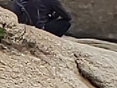 -王潮活海鲜自助·蒸汽海鲜