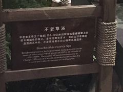 -汉拿山温泉度假酒店