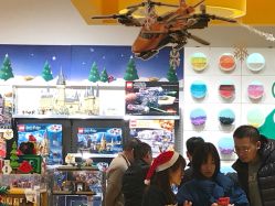 -乐高授权专卖店(浦东嘉里城店)