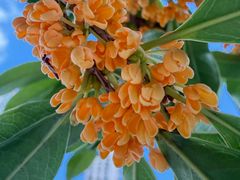 -苏州河梦清园环保主题公园