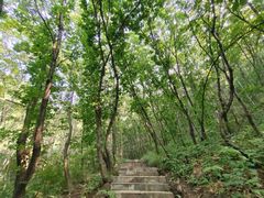 -白草畔自然风景区