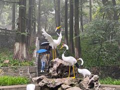 -莫干山风景区