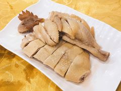清远白切鸡-粤·向群饭店(泮塘路店)