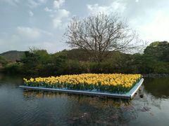 -白马涧龙池景区