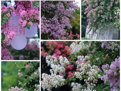 -杭州城北体育公园