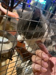 -酷嗒动物文化乐园(cutezoo西溪乐天城店)