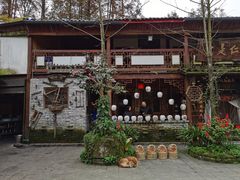 -青城甲(青城山店)