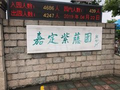 -嘉定紫藤园