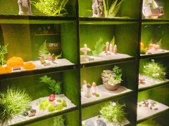 -慢丽江·云南野生菌土鸡锅(西山店)