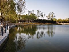 -大兴滨河森林公园