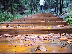 -大岭沟猕猴桃谷风景区