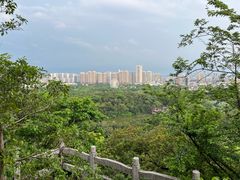 -雀儿山公园