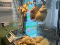 -文昌鸡饭店110号(中山路店)
