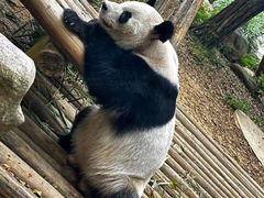 -深圳野生动物园