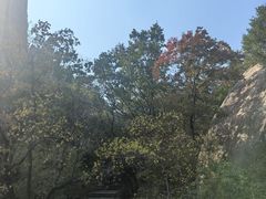 -嵖岈山风景区