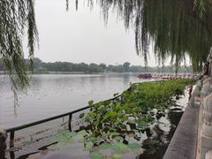 -什刹海