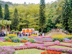 -深圳仙湖植物园