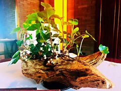 -解香楼(八盘岭路店)