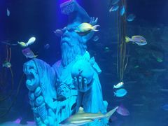 -沈阳海洋探索中心