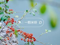 -习家池